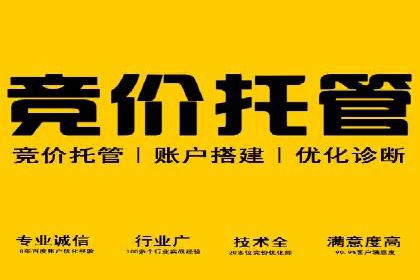 SEM代理服务：案例对比，效果哪家强